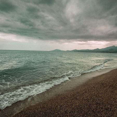 Appartement T2 Les Pieds Dans L'Eau A Argelès-sur-Mer Esterno foto