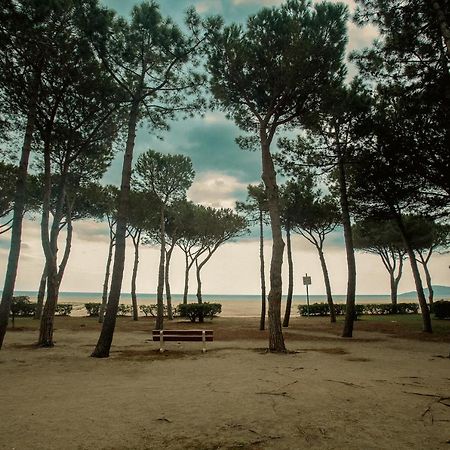Appartement T2 Les Pieds Dans L'Eau A Argelès-sur-Mer Esterno foto